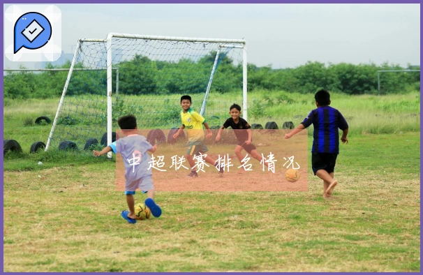 中超联赛排名情况